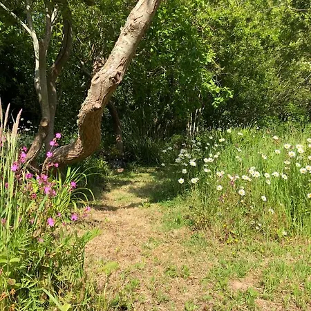 Le Bout Du Monde * Saint-Léonard