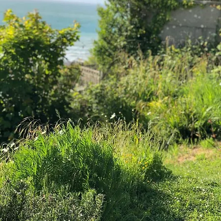 Le Bout Du Monde * Saint-Leonard (Seine-Maritime)