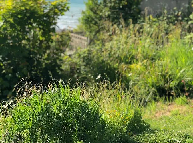 Le Bout Du Monde * Saint-Leonard (Seine-Maritime)