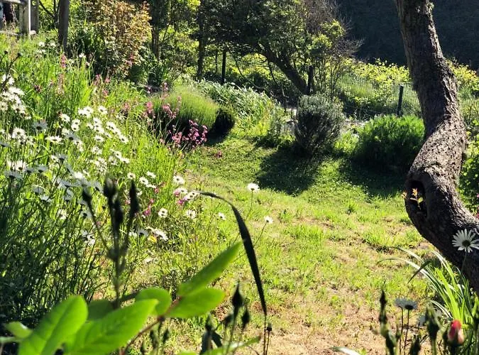 Holiday home Le Bout Du Monde *